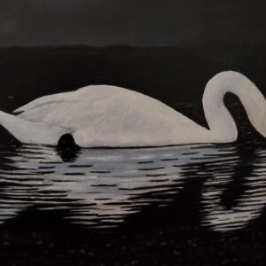 Night Swan