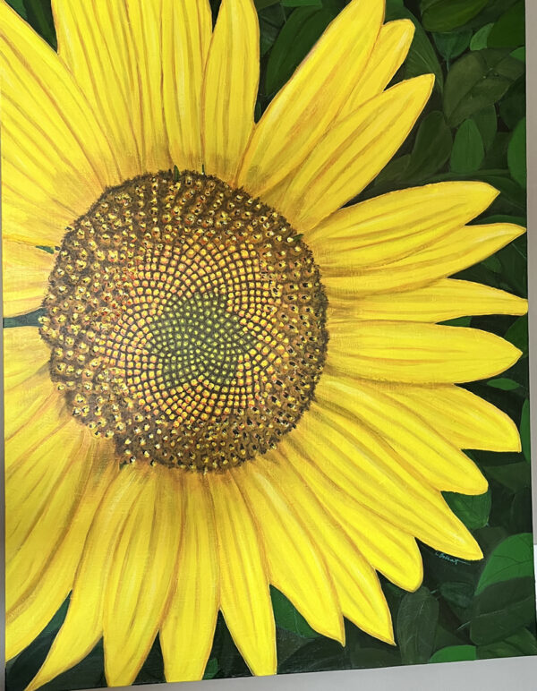 Large Sunflower