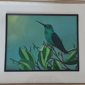 Green Hummingbird