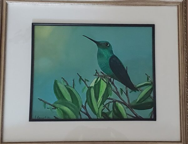 Green Hummingbird