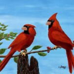 Cardinals on Branch