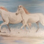 Salt River Wild Horses