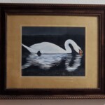 Night Swan Framed