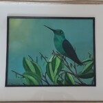 Green Hummingbird